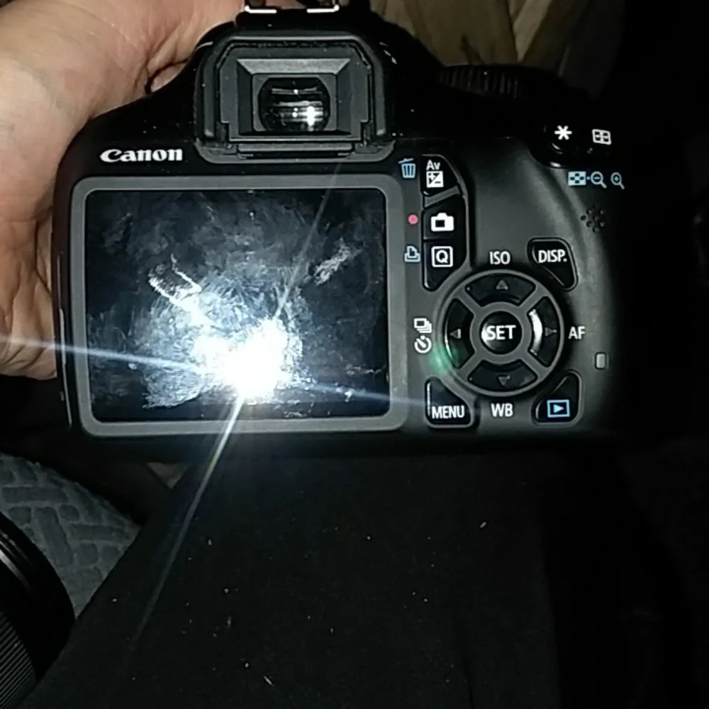 Canon camera
